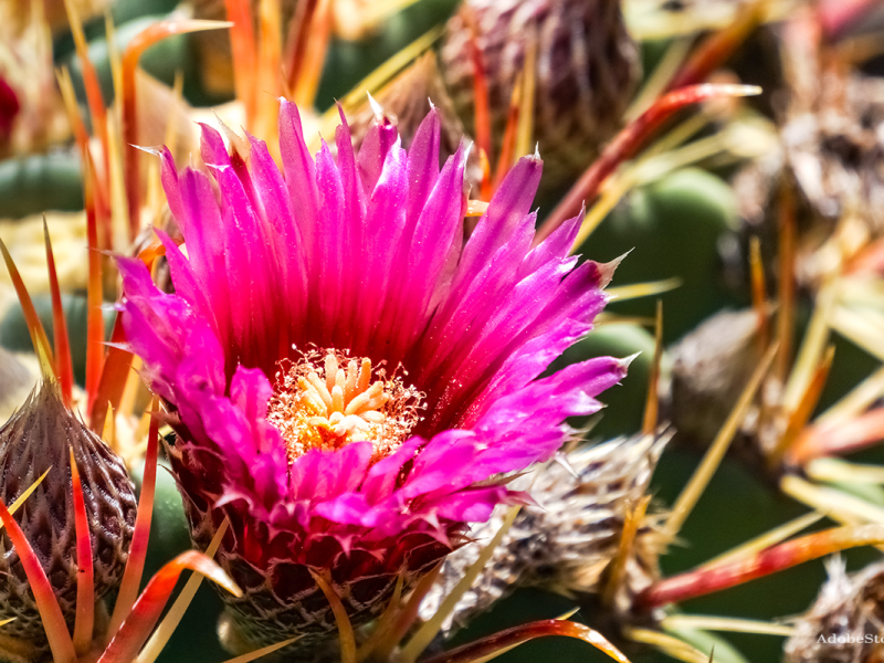 How to Make It&nbsp;Rain