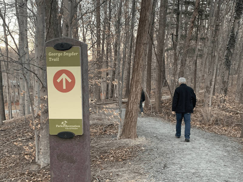 Saving a Local&nbsp;Forest